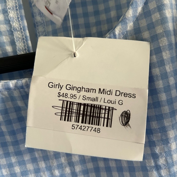 First Love Light Blue Gingham Midi Dress - Picture 7 of 8